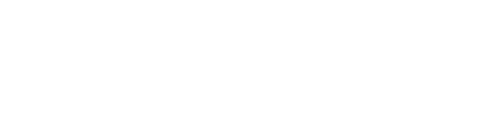 Stäubli Logo